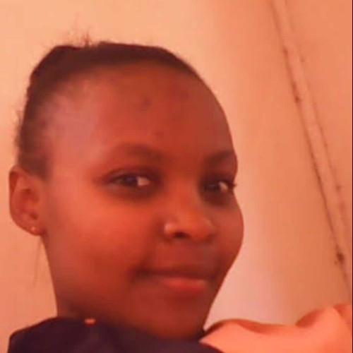 Jos N. profile photo