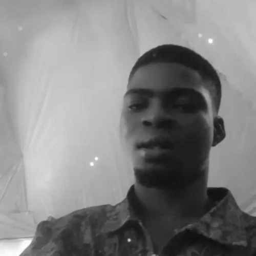 david d. profile photo