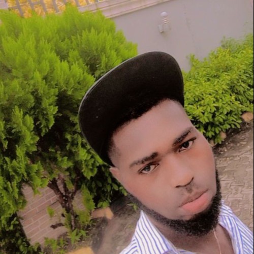 Dan  M. profile photo