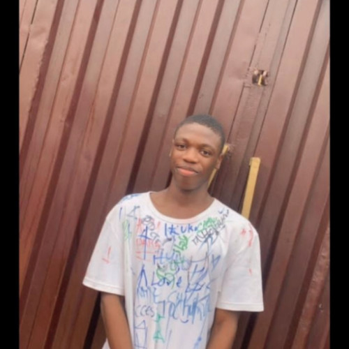 Tochukwu D. profile photo