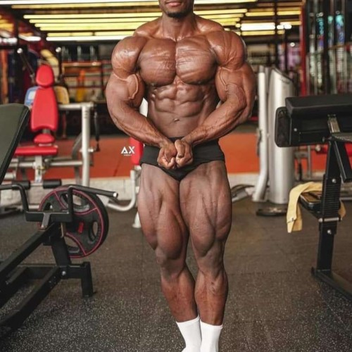 Salah B. profile photo