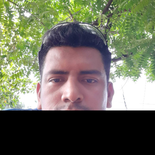 pedro D. profile photo
