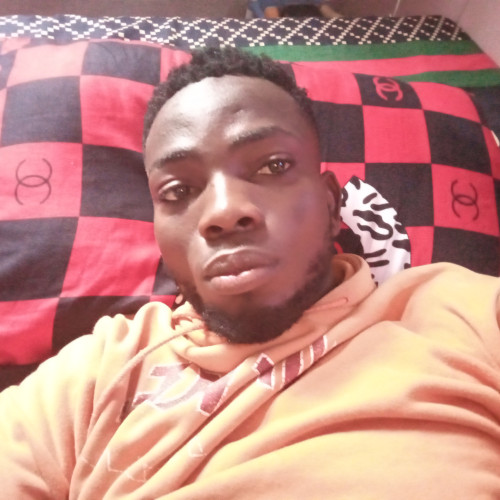 Uche  N. profile photo