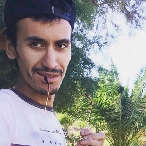 Mahmoud  F. profile photo