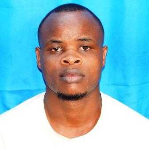 David K. profile photo