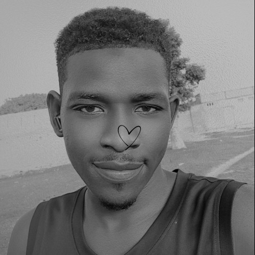 Dauda H. profile photo