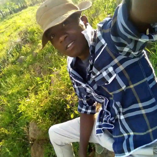 Benard M. profile photo