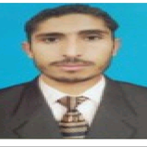 Inzamam h. profile photo
