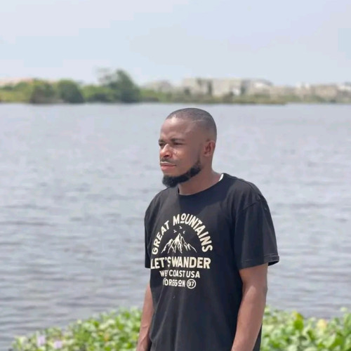 Taiwo O. profile photo