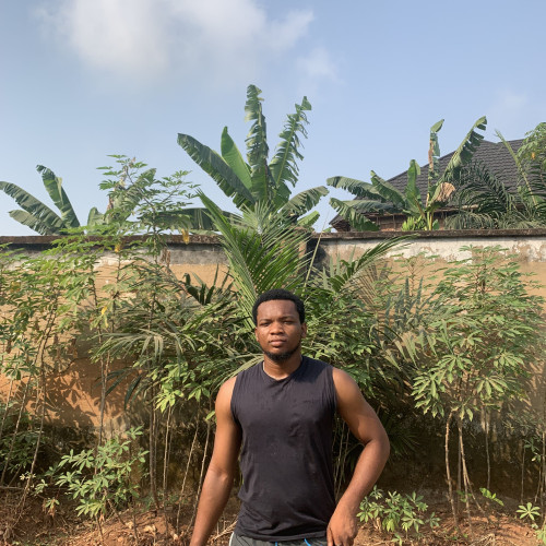 chisom c. profile photo