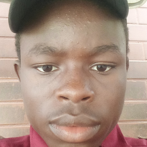 Felix  B. profile photo