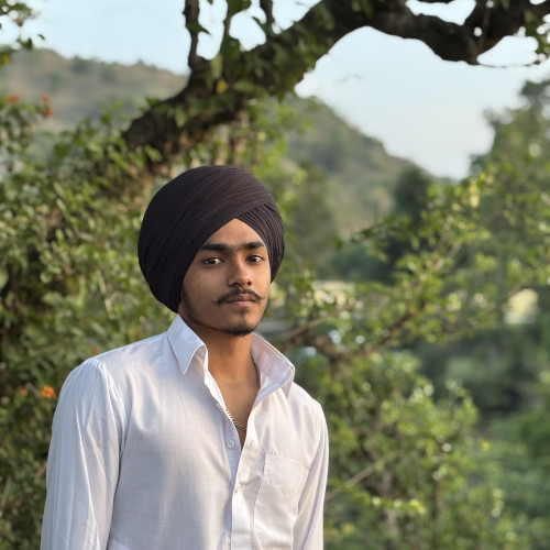 Ravdeep  S. profile photo