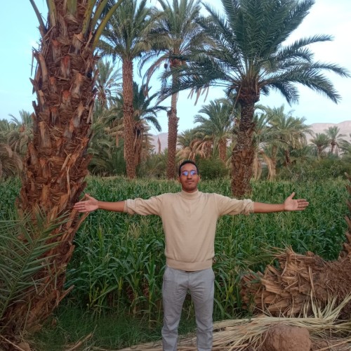 Imad T. profile photo