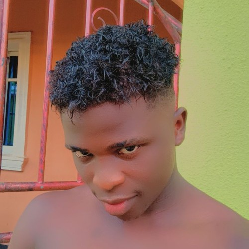 Chukwuemeka  N. profile photo