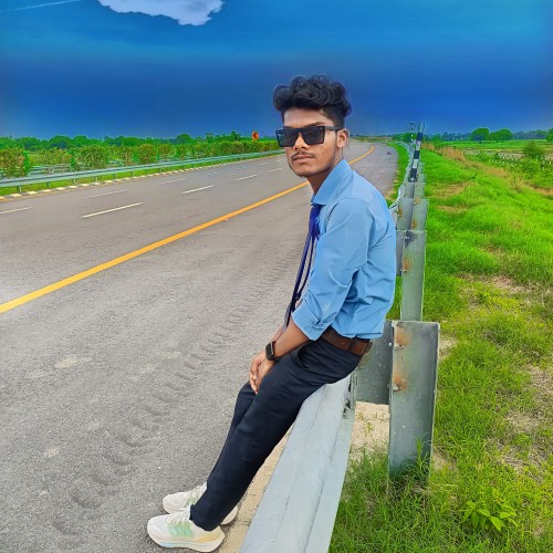 Ankit C.