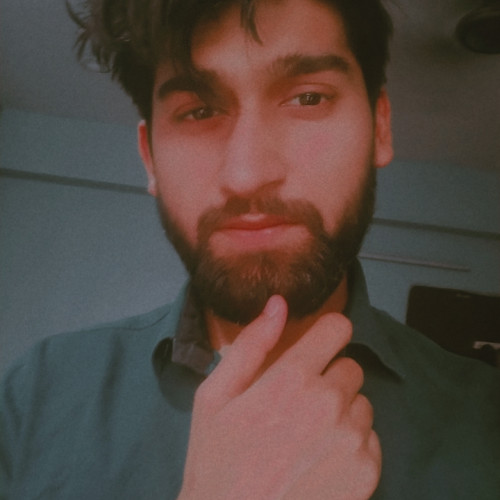 Vishan P. profile photo
