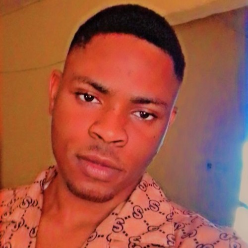Ogheneyole P. profile photo