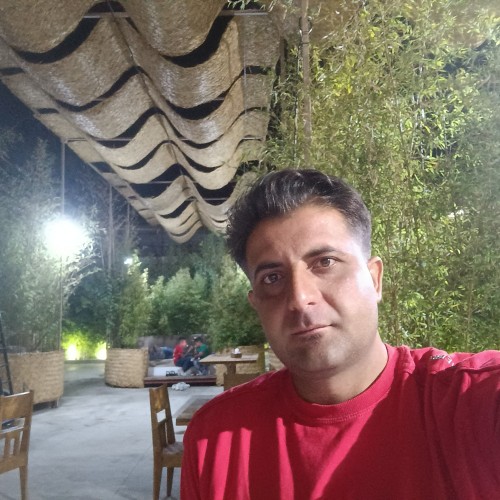 mohsen m.