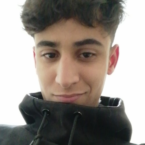 Mehdi N.
