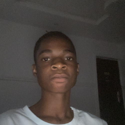 Adewusi S.