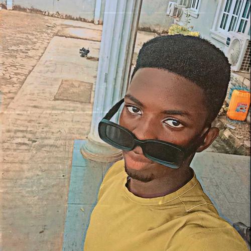 oluwadamilare j. profile photo