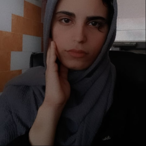  Setareh R.