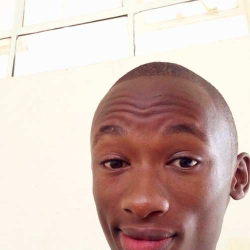 David M. profile photo