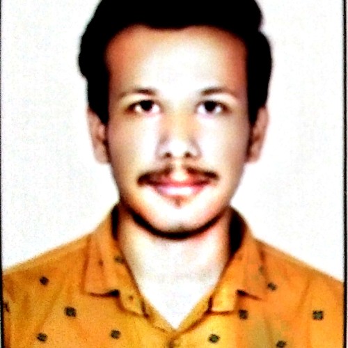 Raunak  R.