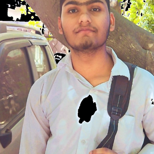  Tiwari  P.