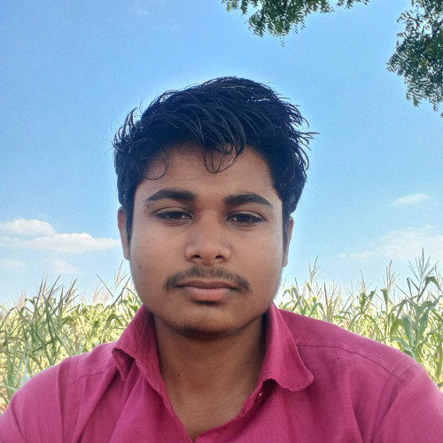 Viresh  B. profile photo