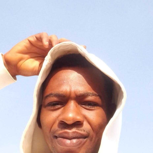 ogunbadejo A.