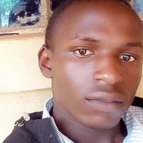 Kevin N. profile photo