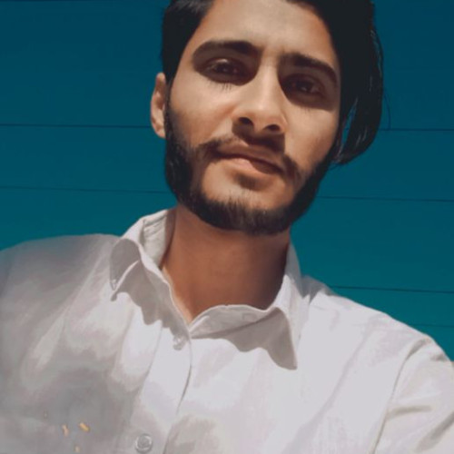 Navdeep D. profile photo