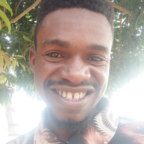 Adeyemi  F.