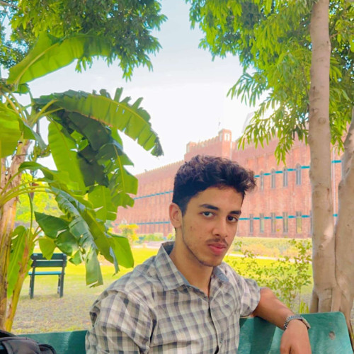 Aayan F.