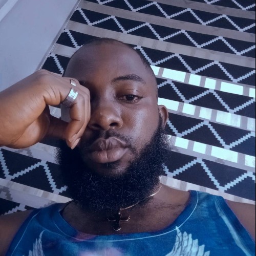 Chibuike  O. profile photo