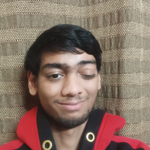 Ameya S.