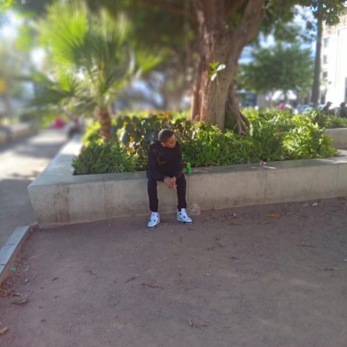 Amine  N.