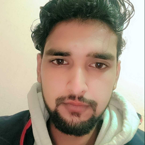vishnu S. profile photo