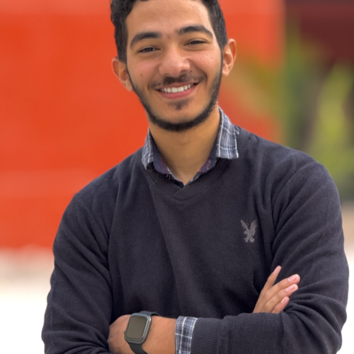 Ali N. profile photo