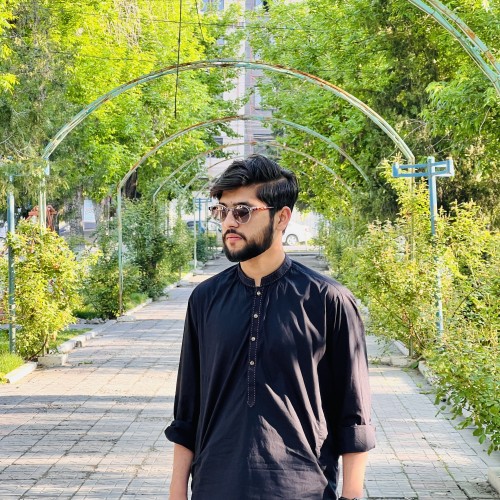 Ameer Hamza B.