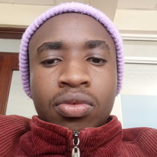 Mark M. profile photo