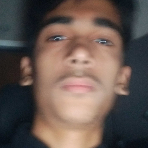 Ali R.