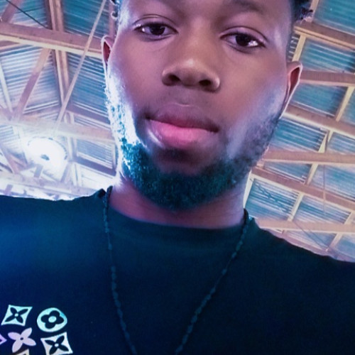 Lenny  a. profile photo