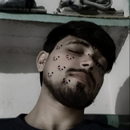 Mohit M. profile photo