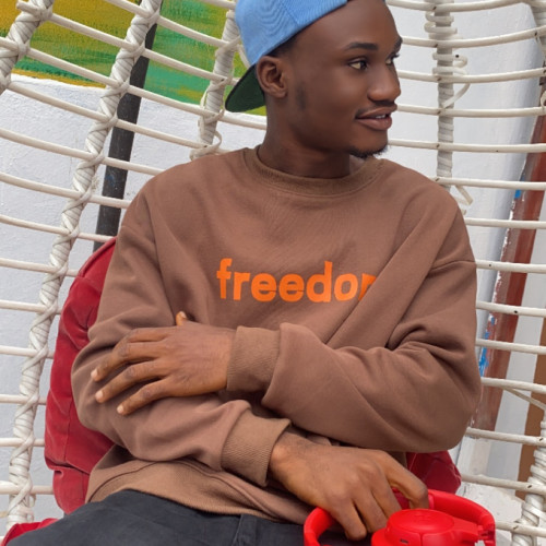 Olagboye  S. profile photo