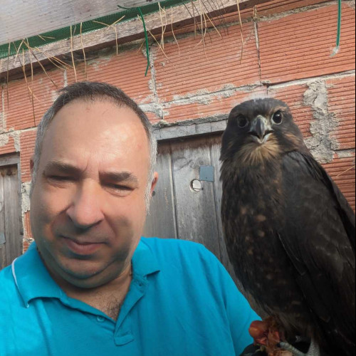 Herminio F. profile photo