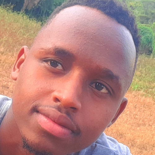 mister h. profile photo