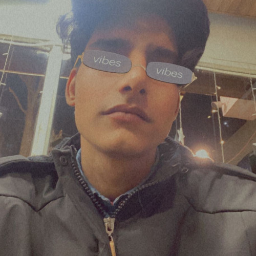 Paurush C. profile photo