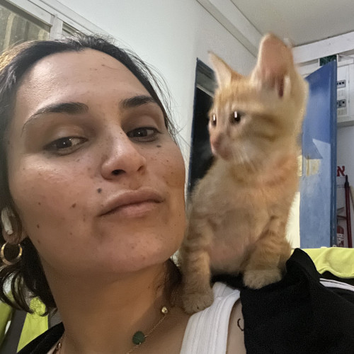 tati F. profile photo